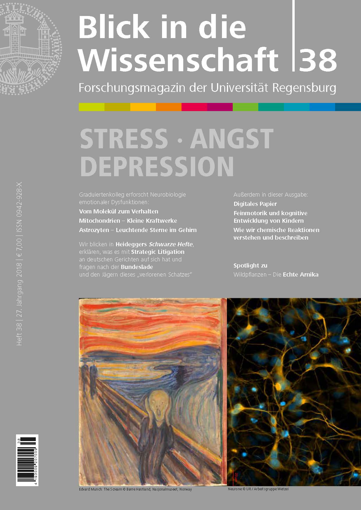 Coverpage Heft 38 des Forschungsmagazins der Universität Regensburg